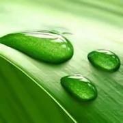 Drops LiveWallpaper Мод