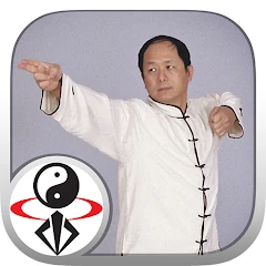 Eight Brocades Qigong Standing Мод