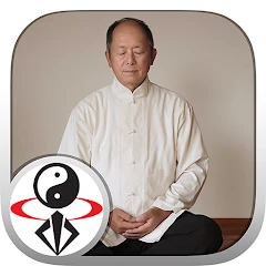 Qigong Meditation Master Yang Мод