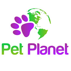 Pet Planet APK