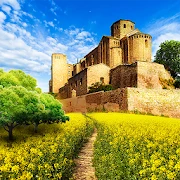 The Lone Survivor - Adventure icon