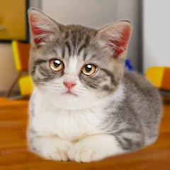 Talking Cat Funny Mod Apk 1.96  icon