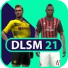 DLSMASTER 21 icon