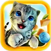 Cat Simulator icon