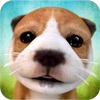 Dog Simulator icon