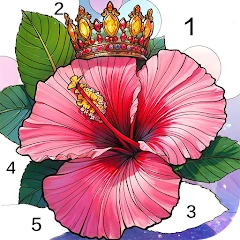 Calm Color Coloring games icon