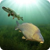 3DCARP Mod Apk 10.3 