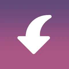 Insget - Video & Story Saver icon