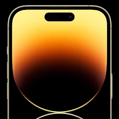 Dynamic Notch - Notify Island icon