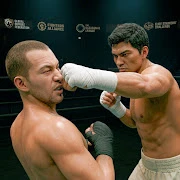 Brutal Knuckle Boxing icon