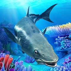 The Cobia Мод