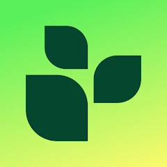 Lifesum: AI Calorie Tracker Mod Apk 20.3.1  icon