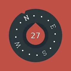 Compass icon