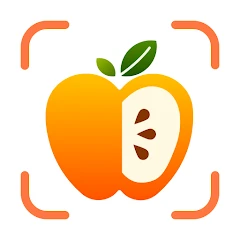 Cal Scanner AI Calorie Tracker icon