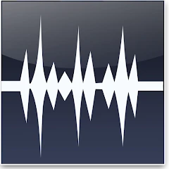 WavePad Master's Edition 2023 icon