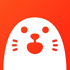HOLLA - Video Call icon