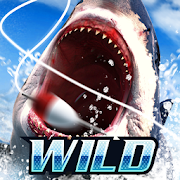Roblox Fish Simulator Hack